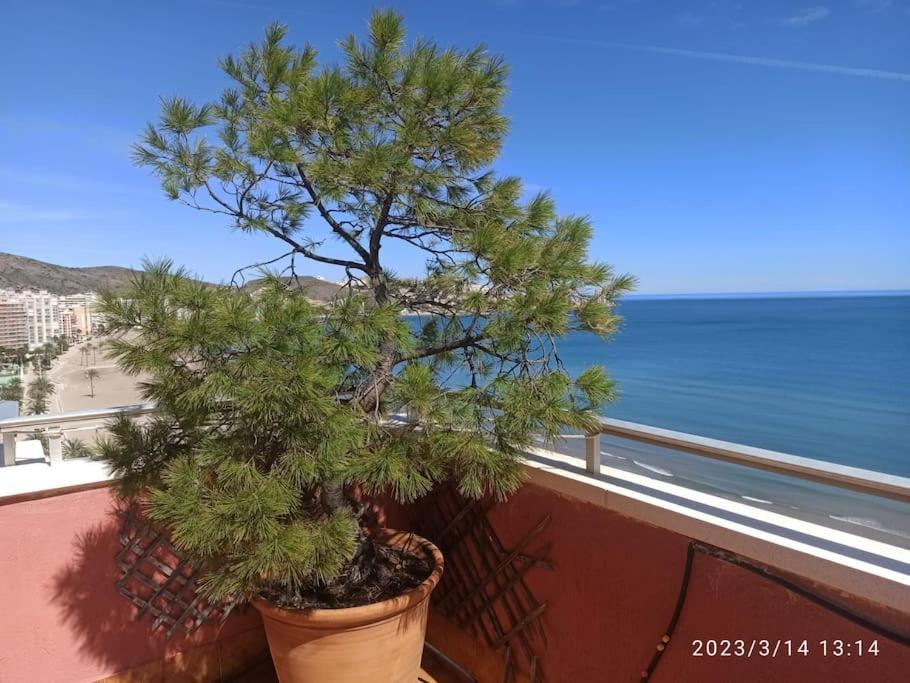Espectacular Terraza Y Vistas En 1A Linea De Playa Apartment Cullera Luaran gambar