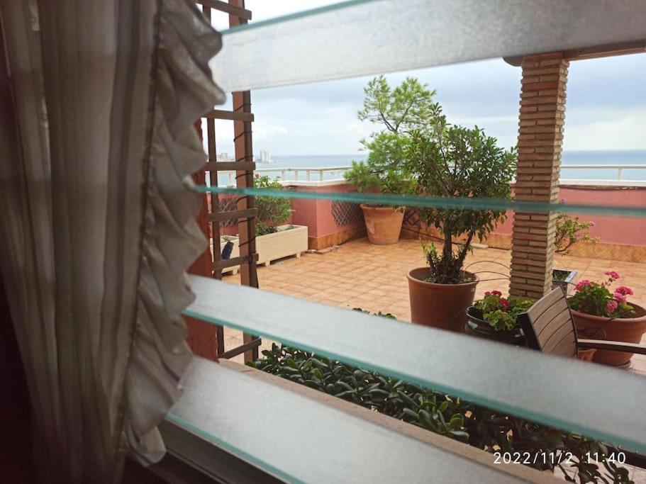 Espectacular Terraza Y Vistas En 1A Linea De Playa Apartment Cullera Luaran gambar